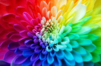 leggi tutto l'articolo: Cromoterapia: che il potere dei colori sia con voi Cromoterapia: che il potere dei colori sia con voi