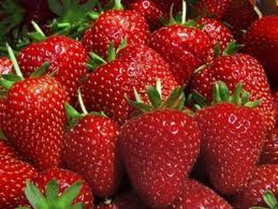 La fragola, il frutto dei preliminari