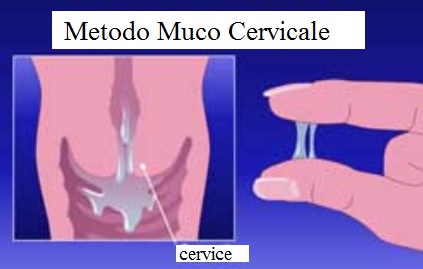 illustrazione grafica in cui è presente l'operazione di rilevamento del muco cervicale 
