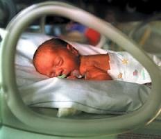 neonato in incubatrice