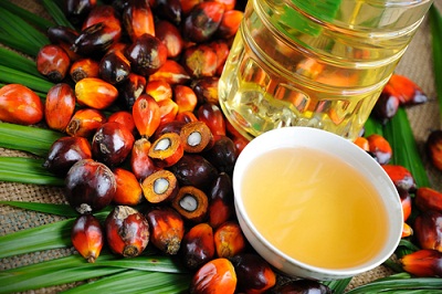 olio-di-palma-alimentazione