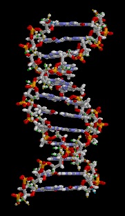 dna animazione su sfondo nero