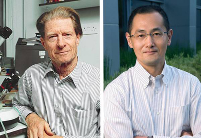 John Gurdon e Shinya Yamanaka