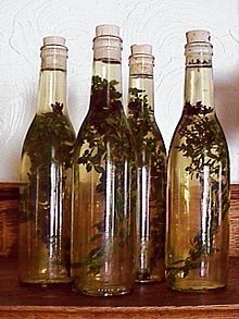 aceto di origano in bottiglia