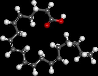 acido-aracnoide