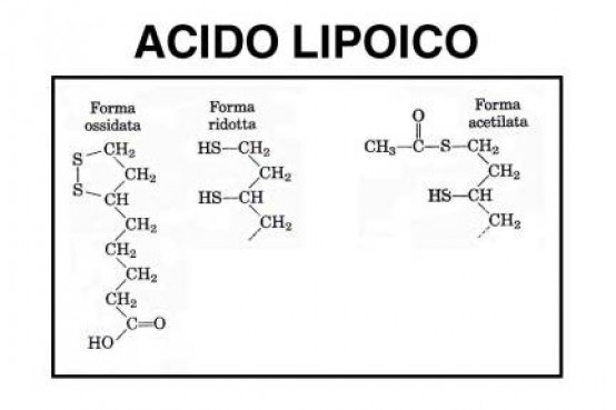 acidoLipoico