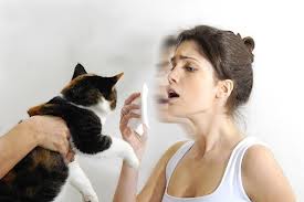 immagine di donna evidentemente allergica ad i gatti