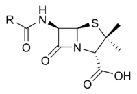 forma chimica di uno degli antibiotici più conosciuti la pennicellina