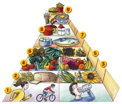 Un immagine su come dovrebbe essere una corretta alimentazione associata ad uno stile di vita