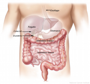 colon-irritabile-alimentazione