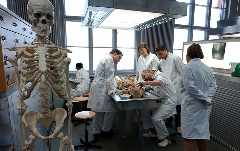 professionisti durante lo studio di un corpo umano