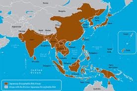 mappa geografia in cui si evince la presenza di encefalopatia giapponese