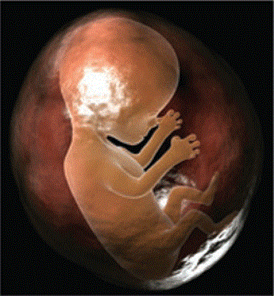 feto-ritardo-crescita