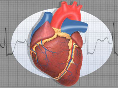 L'immagine di un cuore
