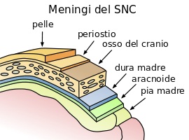 meningite-vaccinazioni