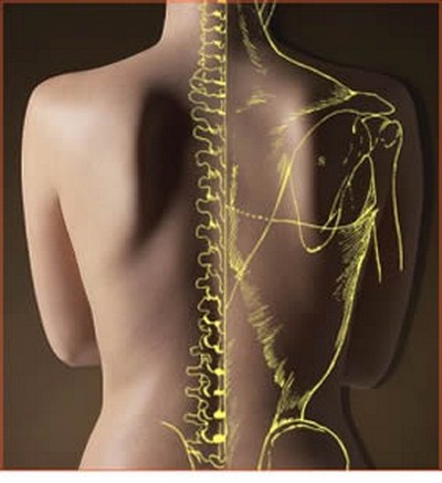 osteopatia-osteopata-dolore-infiammazione