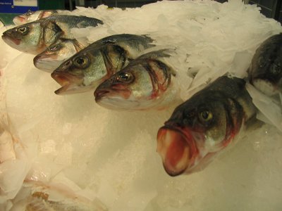 una vitamina molto importante contenuta soprattutto nel pesce nel fegato