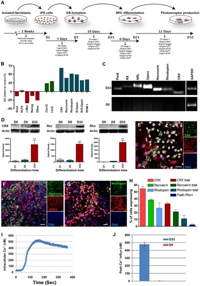 tabella relativa a dati scientifici