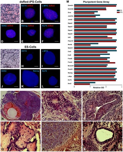 Immagine estrapolata dalla ricerca scientifica pubblicaa su plus one