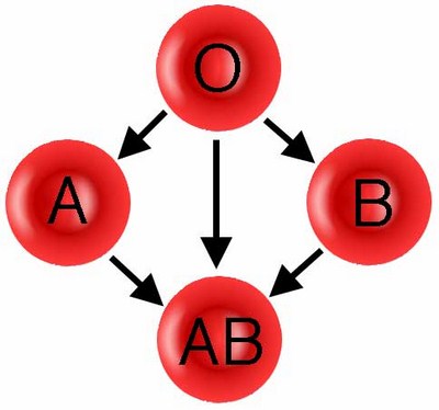 sangue-carattere-gruppi-tipo