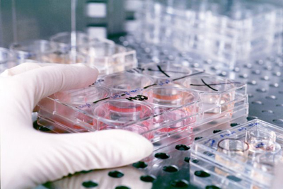 L'immagine di una ricerca scientifica