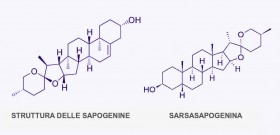 struttura chimica della sapogenne 