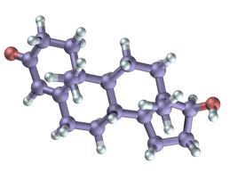 testosterone