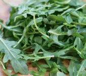 Insalata killer, sotto accusa la rucola in busta: due morti e centinaia di malati da E-coli