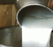 leggi tutto l'articolo Latte di marca contaminato dalle tossine: bloccati 30mila litri Latte di marca contaminato dalle tossine: bloccati 30mila litri