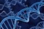 leggi tutto l'articolo Fecondazione assistita, Oxford: Nato primo bambino con Dna ... - Il Fatto Quotidiano Fecondazione assistita, Oxford: Nato primo bambino con Dna ... - Il Fatto Quotidiano