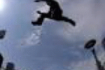 leggi tutto l'articolo Appassionato di parkour cade da un tetto - Corriere della Sera Appassionato di parkour cade da un tetto - Corriere della Sera
