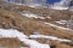 leggi tutto l'articolo Due escursionisti smarriti in Val Camonica sono stati rintracciati ... - 24hlive Due escursionisti smarriti in Val Camonica sono stati rintracciati ... - 24hlive