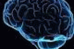 leggi tutto l'articolo Ricerca: ai neuroni piace 'la dolce vita', studio apre a rigenerazione - Adnkronos/IGN Ricerca: ai neuroni piace 'la dolce vita', studio apre a rigenerazione - Adnkronos/IGN