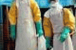 leggi tutto l'articolo Ebola: Oms, superati i 3 mila morti in Africa - Adnkronos Ebola: Oms, superati i 3 mila morti in Africa - Adnkronos
