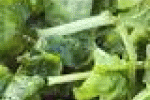 leggi tutto l'articolo Gli spinaci rendono più scattanti - greenMe.it Gli spinaci rendono più scattanti - greenMe.it