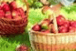 leggi tutto l'articolo Italia vieta etossichina per conservazione frutta. Serve intervento ... - La Repubblica Italia vieta etossichina per conservazione frutta. Serve intervento ... - La Repubblica