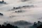 leggi tutto l'articolo Clima: Val Padana, dimezza la nebbia e la concentrazione di ... - Il Sostenibile Clima: Val Padana, dimezza la nebbia e la concentrazione di ... - Il Sostenibile