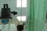 leggi tutto l'articolo Sospetta Legionella in acqua ospedale - ANSA.it Sospetta Legionella in acqua ospedale - ANSA.it