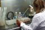 leggi tutto l'articolo Salute: Cnr, disfunzione metabolica legata a sclerosi multipla - AGI - Agenzia Giornalistica Italia Salute: Cnr, disfunzione metabolica legata a sclerosi multipla - AGI - Agenzia Giornalistica Italia