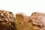 leggi tutto l'articolo Celiachia e allergie: come riconoscerle e cosa fare - Panorama Celiachia e allergie: come riconoscerle e cosa fare - Panorama