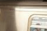 leggi tutto l'articolo Batteri e virus, ecco quelli che vivono in metro di NY. Anche peste e ... - Il Fatto Quotidiano Batteri e virus, ecco quelli che vivono in metro di NY. Anche peste e ... - Il Fatto Quotidiano
