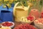 leggi tutto l'articolo La frutta protegge il cuore - Italiasalute.it La frutta protegge il cuore - Italiasalute.it