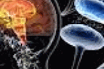 leggi tutto l'articolo Parkinson: ecco il dispositivo hi-tech italiano per la diagnosi - NextMe Parkinson: ecco il dispositivo hi-tech italiano per la diagnosi - NextMe