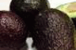 leggi tutto l'articolo Inserire un avocado nella dieta quotidiana protegge il cuore - La Prima Pagina Inserire un avocado nella dieta quotidiana protegge il cuore - La Prima Pagina