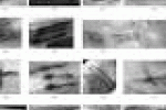 Uno studio identifica tutti i tatuaggi di Oetzi la mummia del Similaun - Padova News