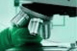 leggi tutto l'articolo Aviaria:a Hong Kong 17 persone in quarantena dopo primo caso - ANSA.it Aviaria:a Hong Kong 17 persone in quarantena dopo primo caso - ANSA.it