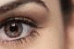 leggi tutto l'articolo Cecità scongiurata, le staminali embrionali riparano la retina - TGCOM Cecità scongiurata, le staminali embrionali riparano la retina - TGCOM