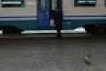 leggi tutto l'articolo Rubati cavi, traffico treni rallentati - ANSA.it Rubati cavi, traffico treni rallentati - ANSA.it