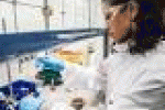 leggi tutto l'articolo Ebola, gli studiosi avvertono: “Rischio contagio via sessuale anche ... - La Stampa Ebola, gli studiosi avvertono: “Rischio contagio via sessuale anche ... - La Stampa