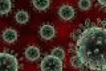 Influenza, aumenta il numero di casi ma il picco deve ancora arrivare - TGCOM